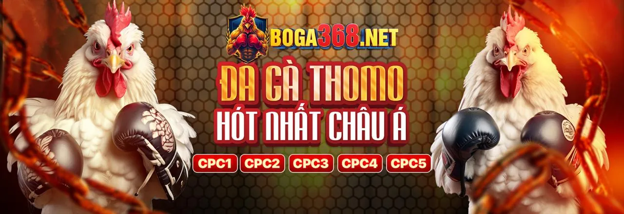 Dealer trực tiếp tại bong365 link vào